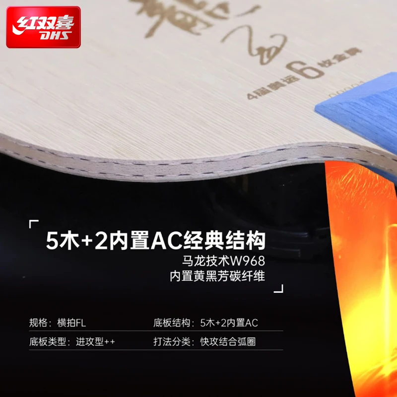 Raqueta de Tenis de Mesa DHS M - Table Tennis Zhang Jike reseña y precio