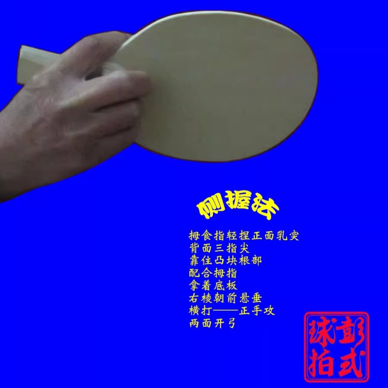 Raquetas de tenis de mesa de e - Table Tennis In Japanese reseña y precio