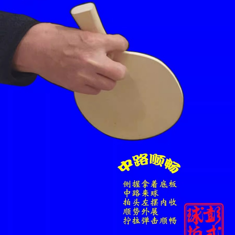 Raquetas de tenis de mesa de e - Table Tennis In Japanese reseña y precio